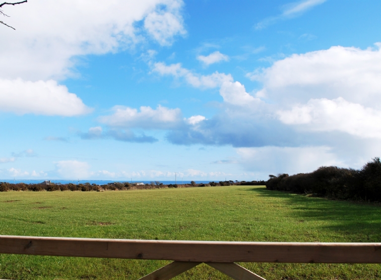 Have your Absolute Canvas wedding marquee at White Radish Events in Cornwall.